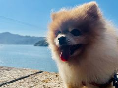 -白河堡水库