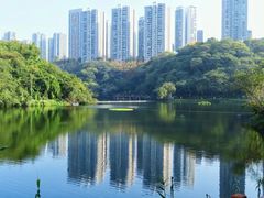 -重庆彩云湖湿地公园