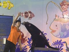 -太平洋海底世界