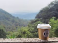 -韬光茶庵