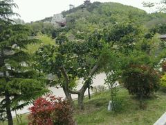 -威海华夏城景区