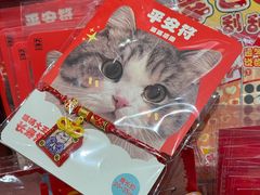 -九木杂物社(凯德西直门店)