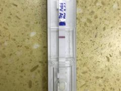 -北京佳信宠物医院