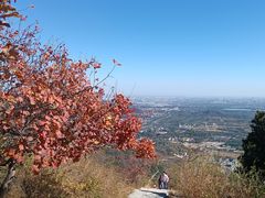 -北京西山国家森林公园