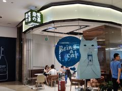 -奈雪的茶(石家庄万象城店)
