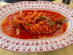 -丁老爷子苏香圆