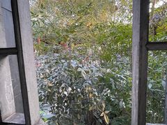 -秋霞圃