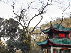 -岳麓山风景名胜区