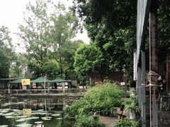 -蜀宴新村·柴火鸡(柏水店)