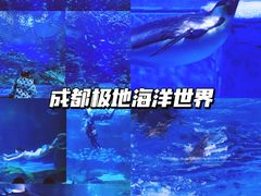 -成都动物园