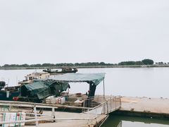-大湾区中央湿地公园-十九涌