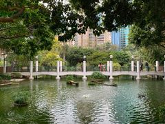 -九龙公园
