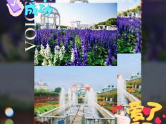 -百万葵园