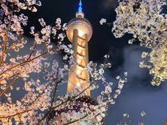 -东方明珠广播电视塔