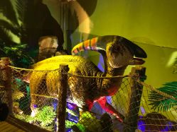 -恐龙探索乐园(磁器口店)