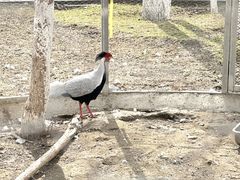 -水上乐园·欢乐世界