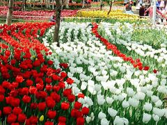 -长春公园(普阳街道)