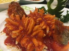 -田园小观园(武大店)