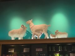 -大白羊蝎子馆(后沙峪山姆店)