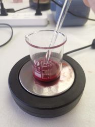 -梓爱月子中心(花都店)