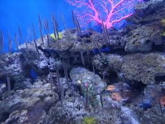 -成都浩海立方海洋公园