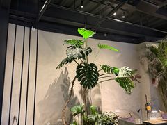 -J Create城市露营咖啡·简餐·宠物(上海动物园店)