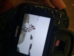 -绿皮火车照相馆 婚纱照旅拍(厦门店)