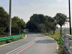 -莲花岛景区