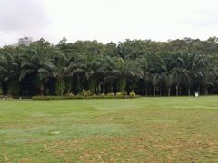 -松山湖南湖湾露营营地