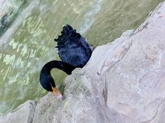 -海合安武汉极地海洋公园