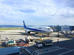 -全日本空输株式会社(上海办事处)