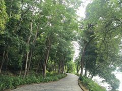 -东湖落雁景区