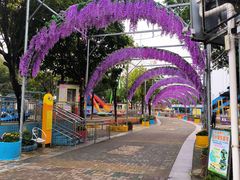 -飞来湖湿地公园