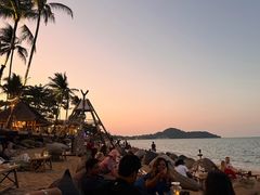 -Coco Tam’s