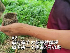-长洲岛