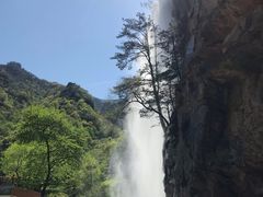 -青峰峡国家森林公园