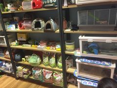 -藦茜花园宠物主题亲子互动体验馆(国顺东路店)