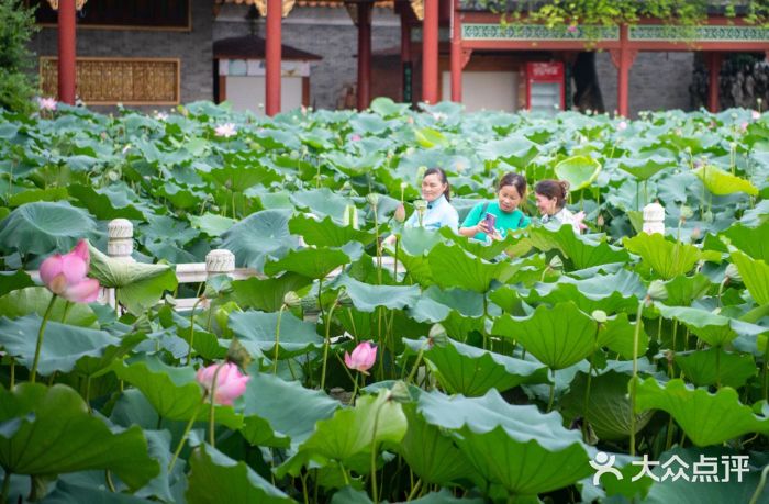 宝墨园景区图片