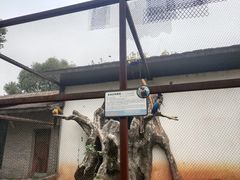 -南昌动物园