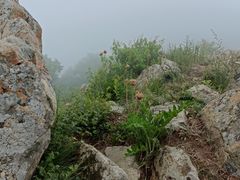 -大觉寺-停车场