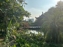 -广州神农草堂中医药博物馆