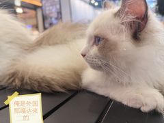 -万达广场(大明宫店)