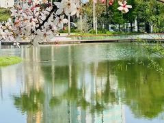 -四海公园(南山区)