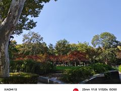 -中山公园