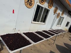 -苏州市吴中区光福窑上花果蜜饯厂