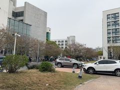 -同济大学四平路校区游泳馆