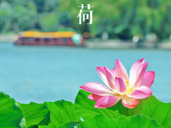 -济南大明湖景区