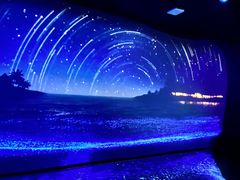 -悉尼海洋生物水族馆