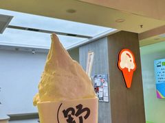 -野人先生现做冰淇淋(北京悠唐购物中心店)