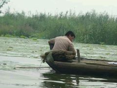 -白洋淀景区